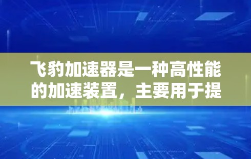 飞豹加速器是一种高性能的加速装置，主要用于提高汽车在高速公路上的行驶速度。以下是对飞豹加速器的详细总结