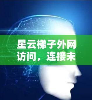 星云梯子外网访问，连接未来的技术解决方案