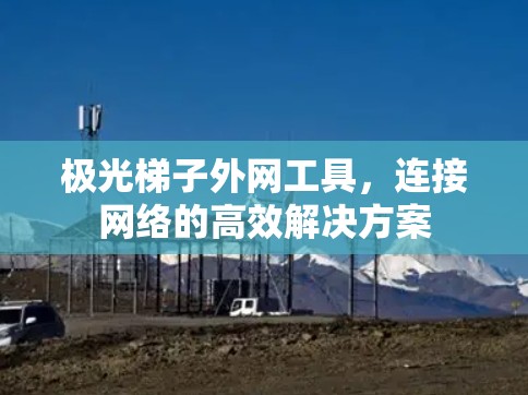 极光梯子外网工具，连接网络的高效解决方案