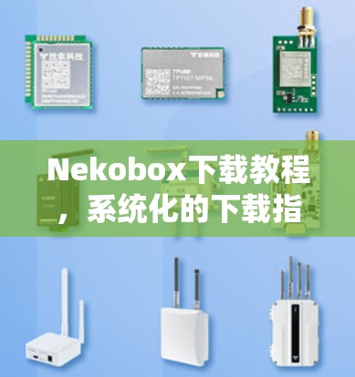 Nekobox下载教程，系统化的下载指南