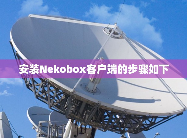 安装Nekobox客户端的步骤如下