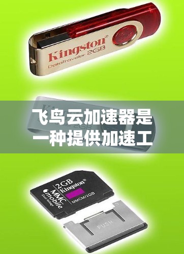飞鸟云加速器是一种提供加速工具的网站，用户可以通过访问并按照步骤进行加速。以下是详细的步骤和注意事项