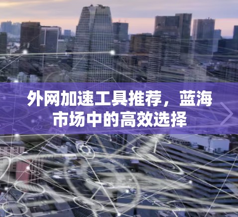 外网加速工具推荐，蓝海市场中的高效选择
