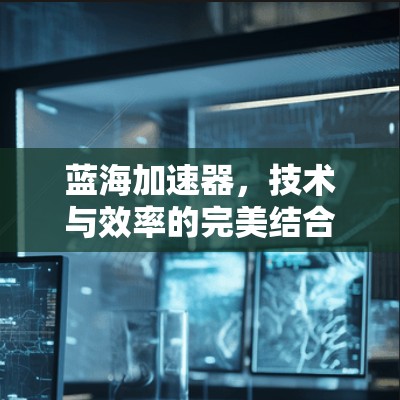 蓝海加速器，技术与效率的完美结合
