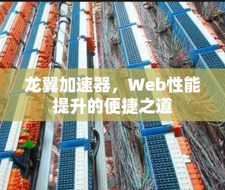 龙翼加速器，Web性能提升的便捷之道