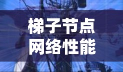 梯子节点网络性能优化，速度测试与网络优化策略