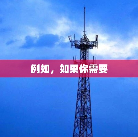 例如，如果你需要