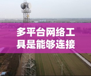 多平台网络工具是能够连接到不同平台的网络应用，广泛应用于社交媒体、支付、视频通话等。以下是对这些工具的系统化介绍