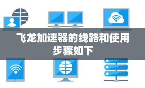 飞龙加速器的线路和使用步骤如下