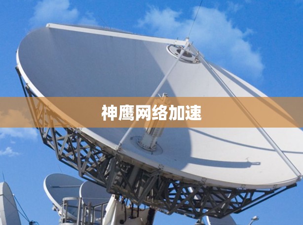 神鹰网络加速