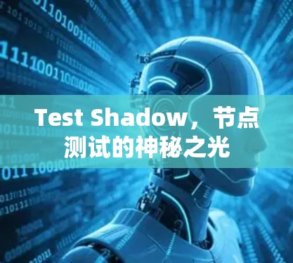 Test Shadow，节点测试的神秘之光