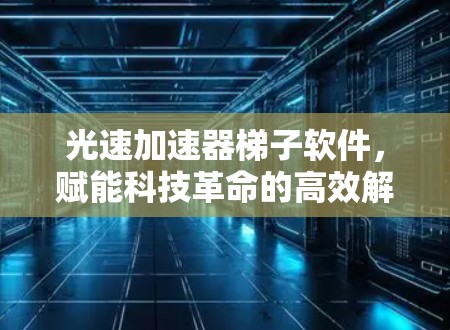 光速加速器梯子软件，赋能科技革命的高效解决方案