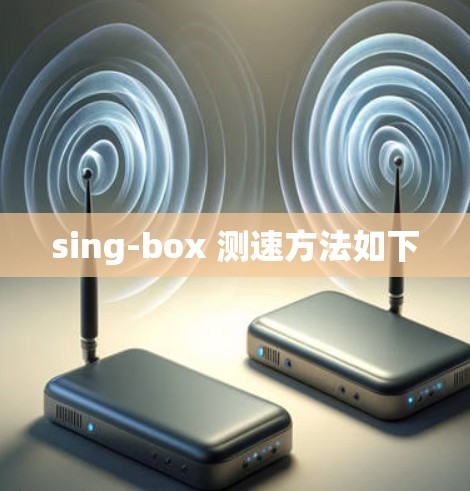 sing-box 测速方法如下