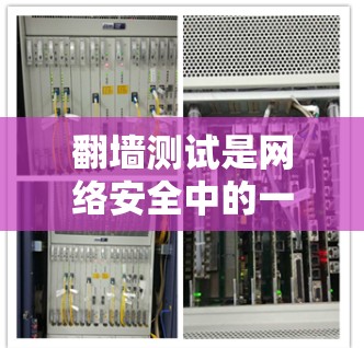 翻墙测试是网络安全中的一个重要环节，涉及将访问被翻墙的网站转移到另一端的服务器。以下是关于翻墙测试的详细总结，帮助您更好地理解和操作