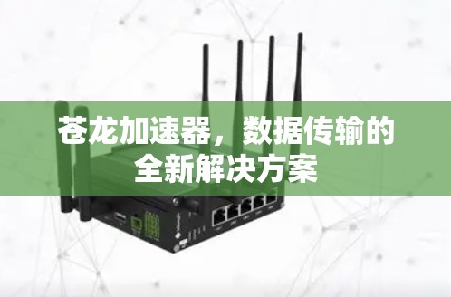 苍龙加速器，数据传输的全新解决方案