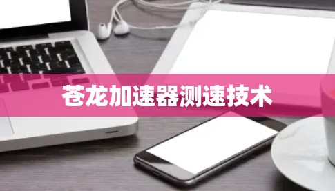 苍龙加速器测速技术