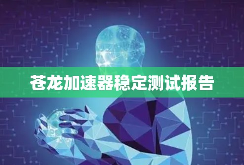 苍龙加速器稳定测试报告