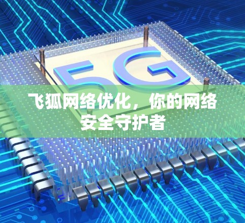 飞狐网络优化，你的网络安全守护者