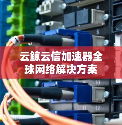 云鲸云信加速器全球网络解决方案