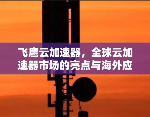 飞鹰云加速器，全球云加速器市场的亮点与海外应用