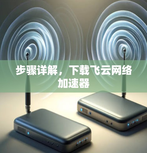 步骤详解，下载飞云网络加速器