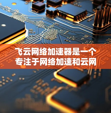 飞云网络加速器是一个专注于网络加速和云网络服务的专业工具，提供多种解决方案，满足企业和个人用户的需求。以下是关于飞云网络加速器的详细介绍