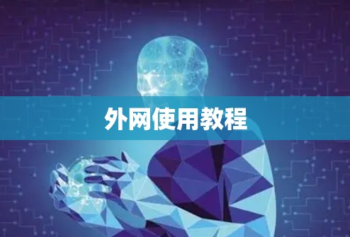 外网使用教程