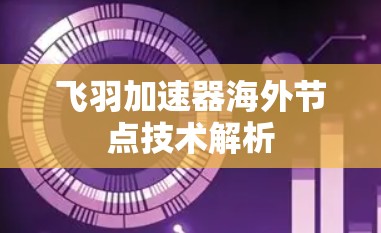飞羽加速器海外节点技术解析