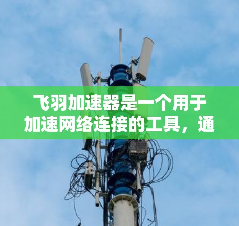 飞羽加速器是一个用于加速网络连接的工具，通常用于在高速网络环境下，如移动设备上，快速下载文件或应用。以下是一步步的指南，帮助您安装并使用飞羽加速器
