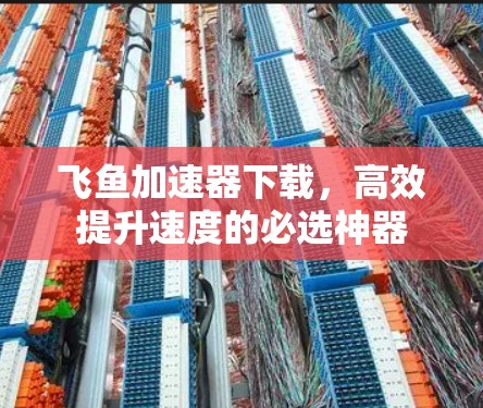 飞鱼加速器下载，高效提升速度的必选神器