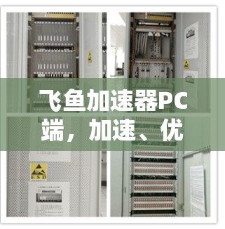 飞鱼加速器PC端，加速、优化、提升，让游戏和视频更流畅