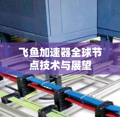 飞鱼加速器全球节点技术与展望