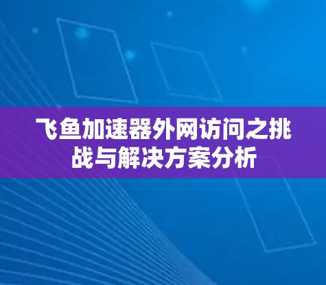 飞鱼加速器外网访问之挑战与解决方案分析