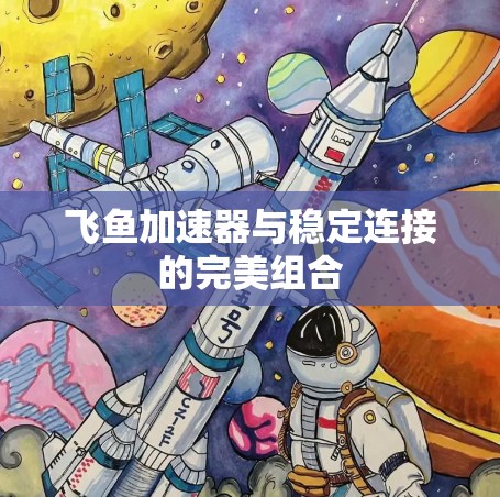 飞鱼加速器与稳定连接的完美组合