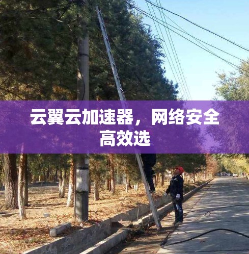 云翼云加速器，网络安全高效选