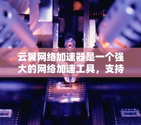 云翼网络加速器是一个强大的网络加速工具，支持多种设备，包括路由器、交换机、手机数据线等。它通过云服务实现设备间的无缝连接，提供高速、稳定、安全的网络连接体验