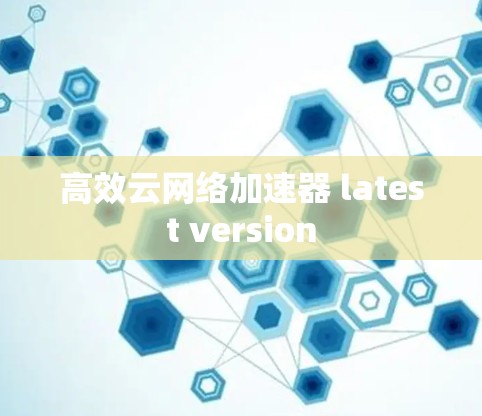 高效云网络加速器 latest version