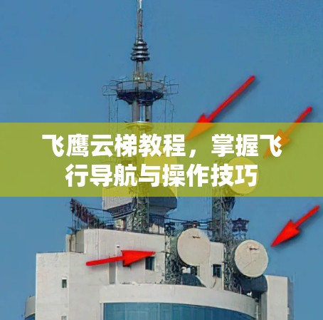 飞鹰云梯教程，掌握飞行导航与操作技巧